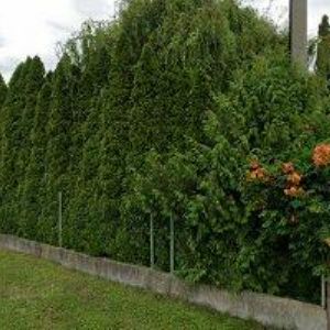 obrazek: avatar STROJNÍ OMÍTKY ZEMAN s.r.o.