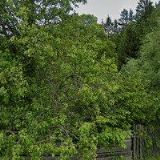 SÁDROKARTONY SMUDEK