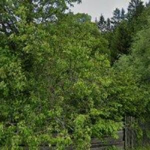 obrazek: avatar SÁDROKARTONY SMUDEK