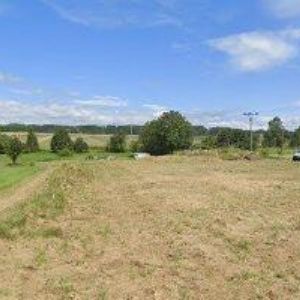 obrazek: avatar MARTINEC DAVID-ZEDNICKÉ PRÁCE