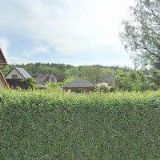 VOLECH ZDENĚK-KAMNÁŘSTVÍ