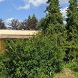 STAVEBNÍ BYTOVÉ DRUŽSTVO OBČANŮ V LITOMYŠLI