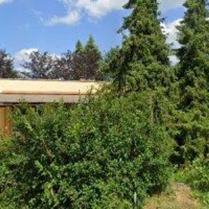 obrazek: avatar STAVEBNÍ BYTOVÉ DRUŽSTVO OBČANŮ V LITOMYŠLI