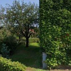 obrazek: avatar VÝSKALA PAVEL