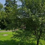 LITÉPODLAHY-ZLIN.CZ