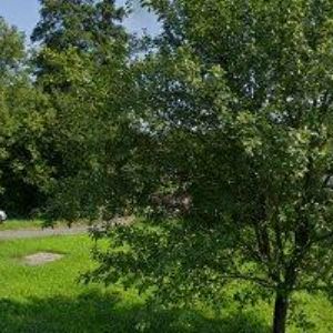 obrazek: avatar LITÉPODLAHY-ZLIN.CZ