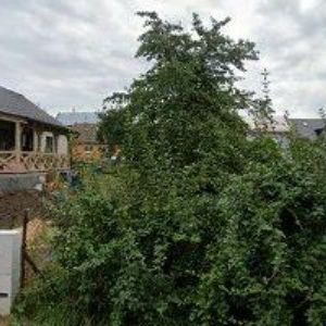 obrazek: avatar GRUNIK JIŘÍ-MODERNÍ STĚNY