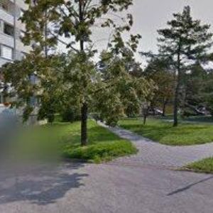 obrazek: avatar HAŠPICA RADEK