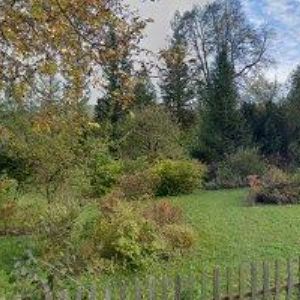 obrazek: avatar MELICHAR TOMÁŠ