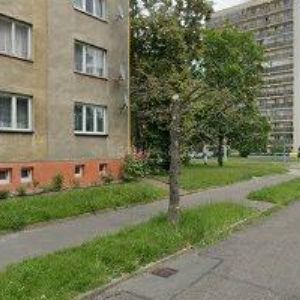 obrazek: avatar MICHLIAN RENÉ