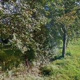 JEZDECKÝ KLUB NICOL FRÝDLANT