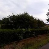 JEZDECKÁ STÁJ PLUNDRA