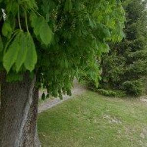 obrazek: avatar MLČOCHOVÁ JITKA