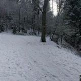 LESNÍ KOUPALIŠTĚ, z.s.