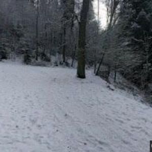 obrazek: avatar LESNÍ KOUPALIŠTĚ, z.s.