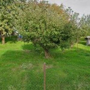 obrazek: avatar ADMAL.CZ