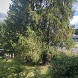 JUMPING LUČANY NAD NISOU