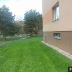 obrazek: avatar NEPOVÍM MILOŠ