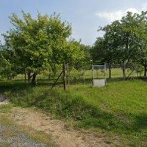 obrazek: avatar BUBÍK RICHARD