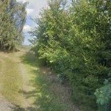 ZONYGA MICHAL-ŠPALÍKOVÁ DLAŽBA