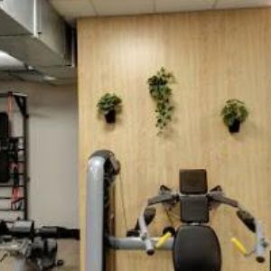 obrazek: avatar ROYAL GYM s.r.o.