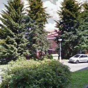 obrazek: avatar PERCZYNSKI HENRYK