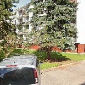 obrazek: avatar KAVALÍK ANTONÍN