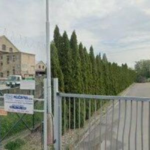 obrazek: avatar TOMS-TOMAN MILAN