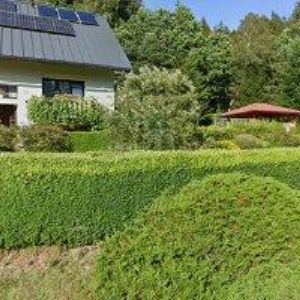 obrazek: avatar MUSIL JIŘÍ