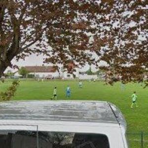 obrazek: avatar PTÁČEK ROMAN-PŮJČOVNA MINIBAGRU