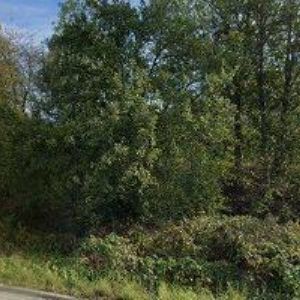 obrazek: avatar MIROSLAV ZETOCHA s.r.o.