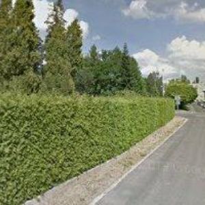 obrazek: avatar SILNICE ŽÁČEK s.r.o.