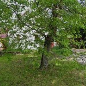 obrazek: avatar PROFI-IZOL, s.r.o.