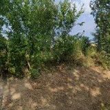 INTERTAP ZLÍN, spol. s r.o.