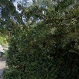 KAUT VLASTISLAV Ing.arch.