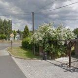 KŘIVÁNEK VLADIMÍR