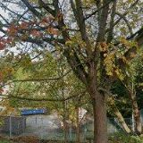 NOVOTNÝ-STAVEBNÍ PROJEKCE