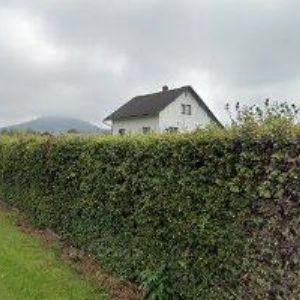 obrazek: avatar TUREK ZDENĚK-PROJEKTY STAVEB A INŽENÝRSKÁ ČINNOST