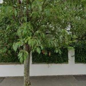 obrazek: avatar SIDERIS s.r.o.