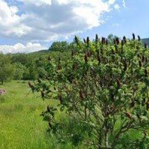 obrazek: avatar BARTOŇ MIROSLAV