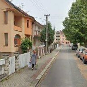 obrazek: avatar BAŽANTOVÁ JANA Ing.