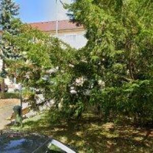 obrazek: avatar MACKO TOMÁŠ