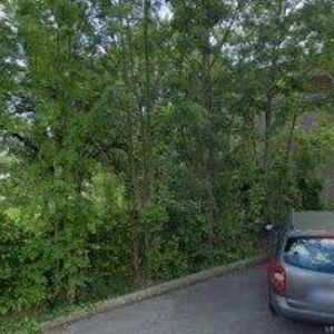 obrazek: avatar BROKL MARTIN