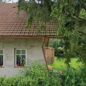 obrazek: avatar MLYNÁŘ JINDŘICH