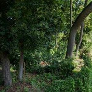 obrazek: avatar ZÁBRADLÍ KROUTIL