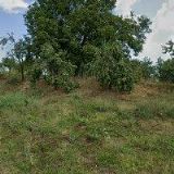 GUMÁRNA MORAVA, s.r.o.