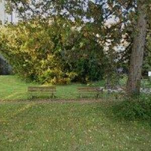 obrazek: avatar SLAVÍKOVÁ SYLVA