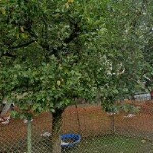 obrazek: avatar TĚHNÍK MIROSLAV