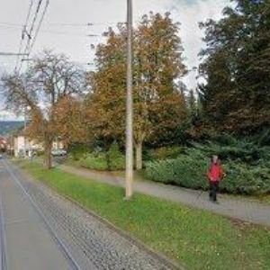 obrazek: avatar DUBINA ROMAN