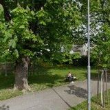 DĚDOUREK MARTIN Ing.-GEODÉZIE SVITAVY